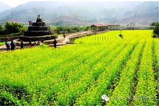 看英國鄉(xiāng)村旅游,讓農(nóng)業(yè)休閑更有范兒 旅游規(guī)劃設計 旅游策劃 鄉(xiāng)村旅游規(guī)劃 休閑農(nóng)業(yè)規(guī)劃