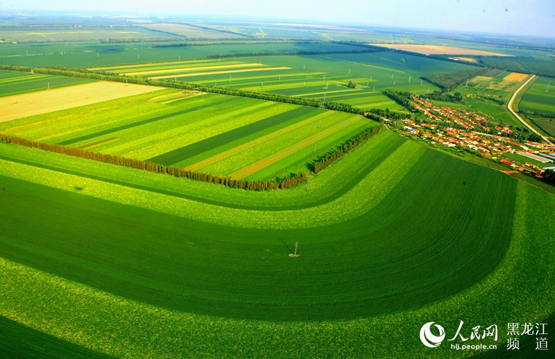 &ldquo;北大荒現(xiàn)代化大農(nóng)業(yè)主題攝影作品展&rdquo;在北京國際攝影周展出