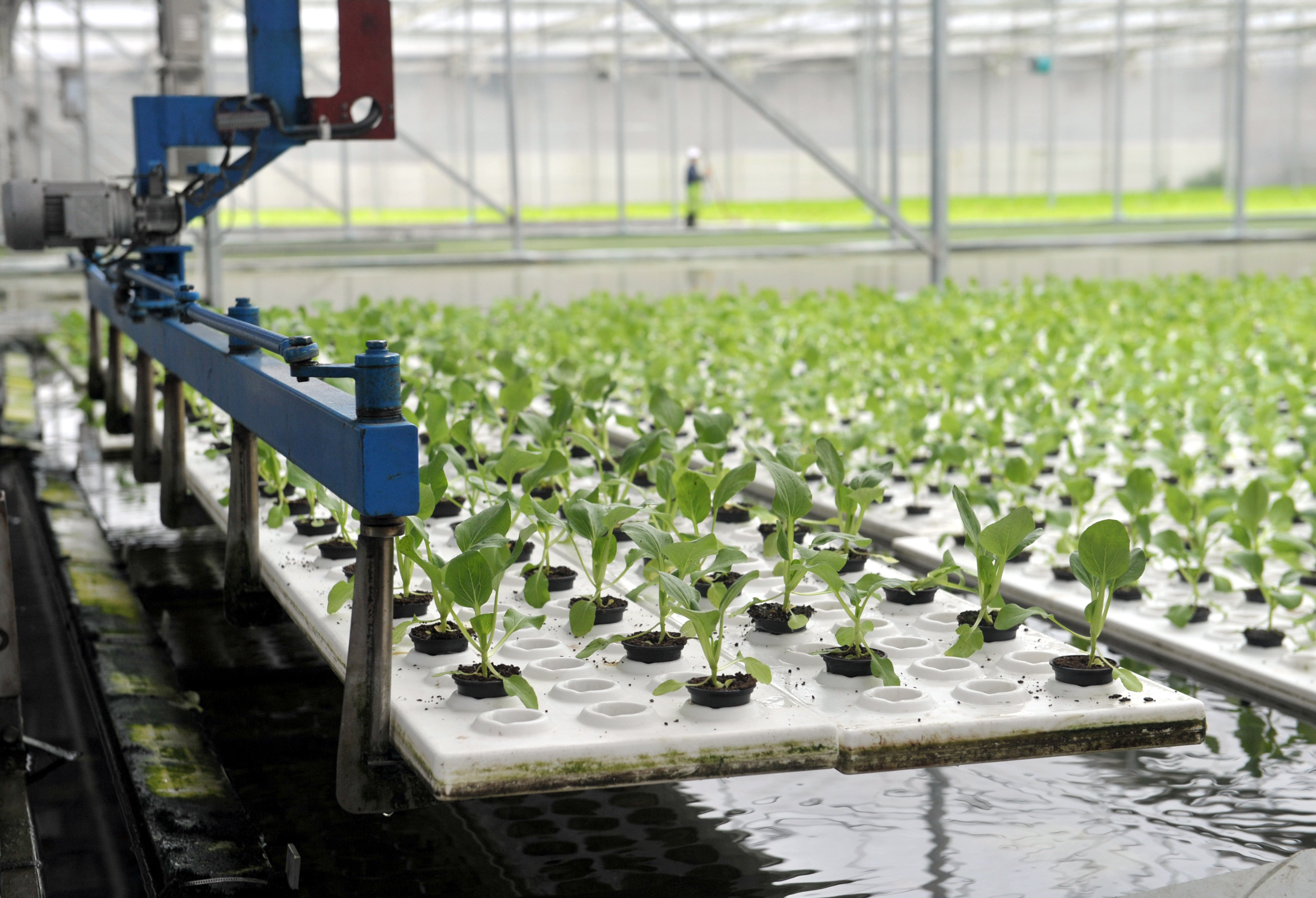 農業供給側改革圖片 2104125 3848x2625