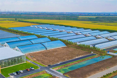 連云港海州:以奮進之姿譜寫高質發展新篇章