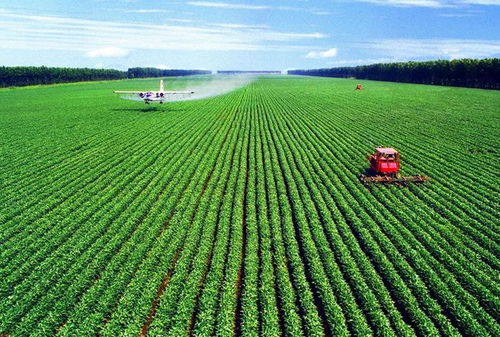 綠色農業網 互聯網助力農業發展,營造嶄新業態