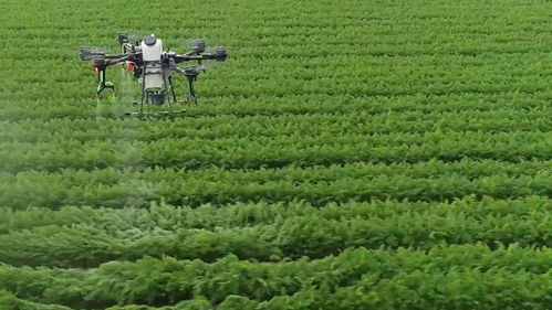 青島這場會議吹響了農(nóng)業(yè)農(nóng)村工作新局面的號角