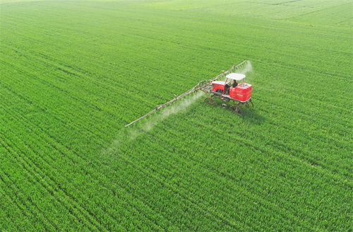 河北邢臺市南和區(qū) 麥田管護保豐收