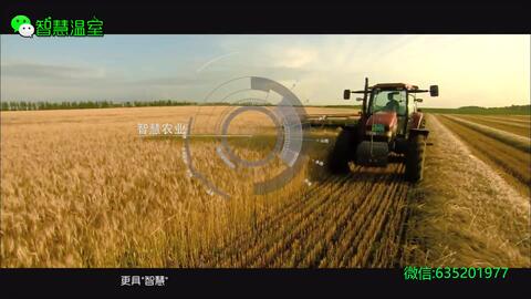 現(xiàn)代農(nóng)業(yè)示范園蔬菜連棟溫室大棚工程規(guī)劃設(shè)計案例