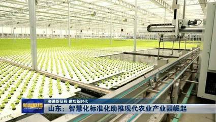 山東:智慧化標準化助推現(xiàn)代農(nóng)業(yè)產(chǎn)業(yè)園崛起