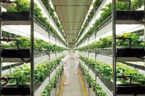 【創(chuàng)新】農(nóng)業(yè)科技亮點(diǎn),東方紅400馬力無級(jí)變速拖拉機(jī)上榜!