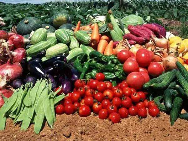 今年下半年,東營(yíng)農(nóng)業(yè)部門將加快培育農(nóng)業(yè)&ldquo;新六產(chǎn)&rdquo;