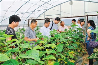 從農(nóng)田到餐桌 抓好源頭監(jiān)管 為群眾提供放心優(yōu)質(zhì)農(nóng)產(chǎn)品