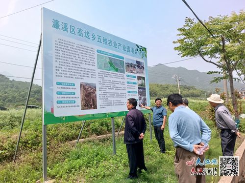 濂溪區高垅鄉老科協召開工作座談會 組圖