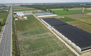 江漢明珠 多福多寶 走進(jìn)湖北特色美食鄉(xiāng)鎮(zhèn)--天門(mén)多寶