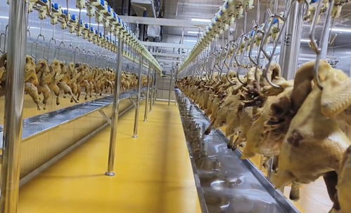 豐都非遺陶壇 酵醒美味，振興農業