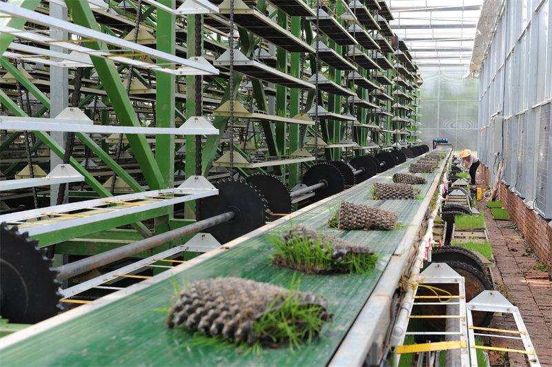 華容縣“田保姆”服務助推糧食生產高質量發展