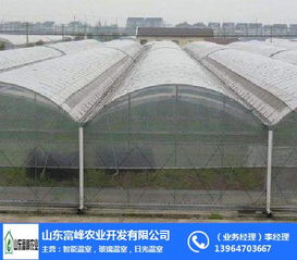 連棟溫室大棚在朔州地區農業現代化中的應用——富峰農業的實踐探索