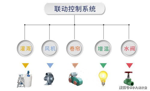 福建溫室大棚遠(yuǎn)程測(cè)控與智能管理系統(tǒng)